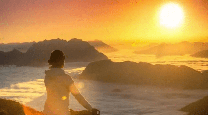 Способи самореалізації: курси, волонтерство, фріланс